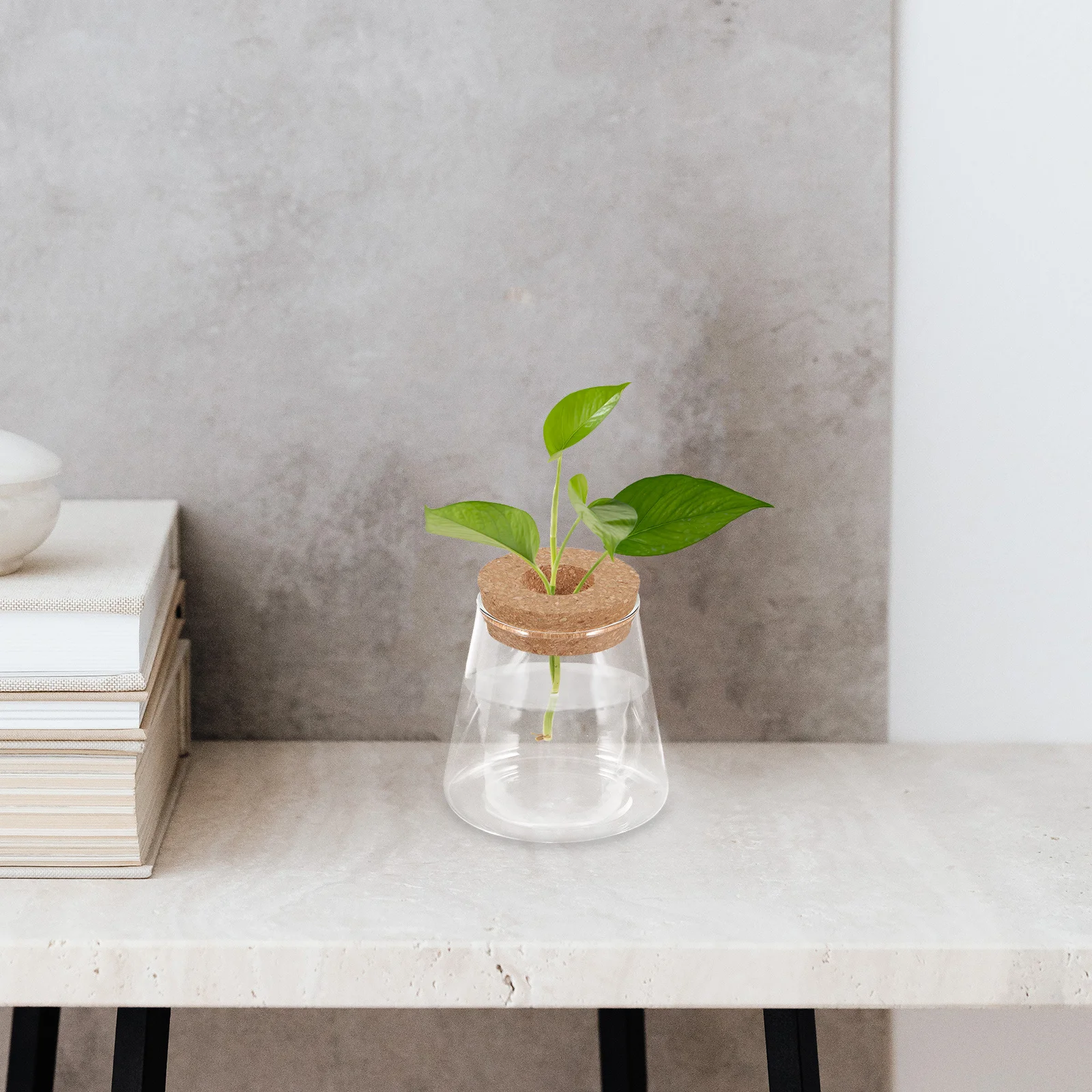 

Glass Terrarium Micro Landscape Fish Tank Container for Home Office Plant Decoration Terrarium Jar Micro Landscape Container