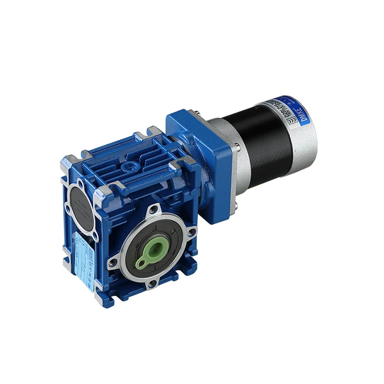 BeUDMKE Bldc Worm Gear Motor Reducer 24v to 12v 5W 100W 150W 60MM DC Motor 25-267RPM