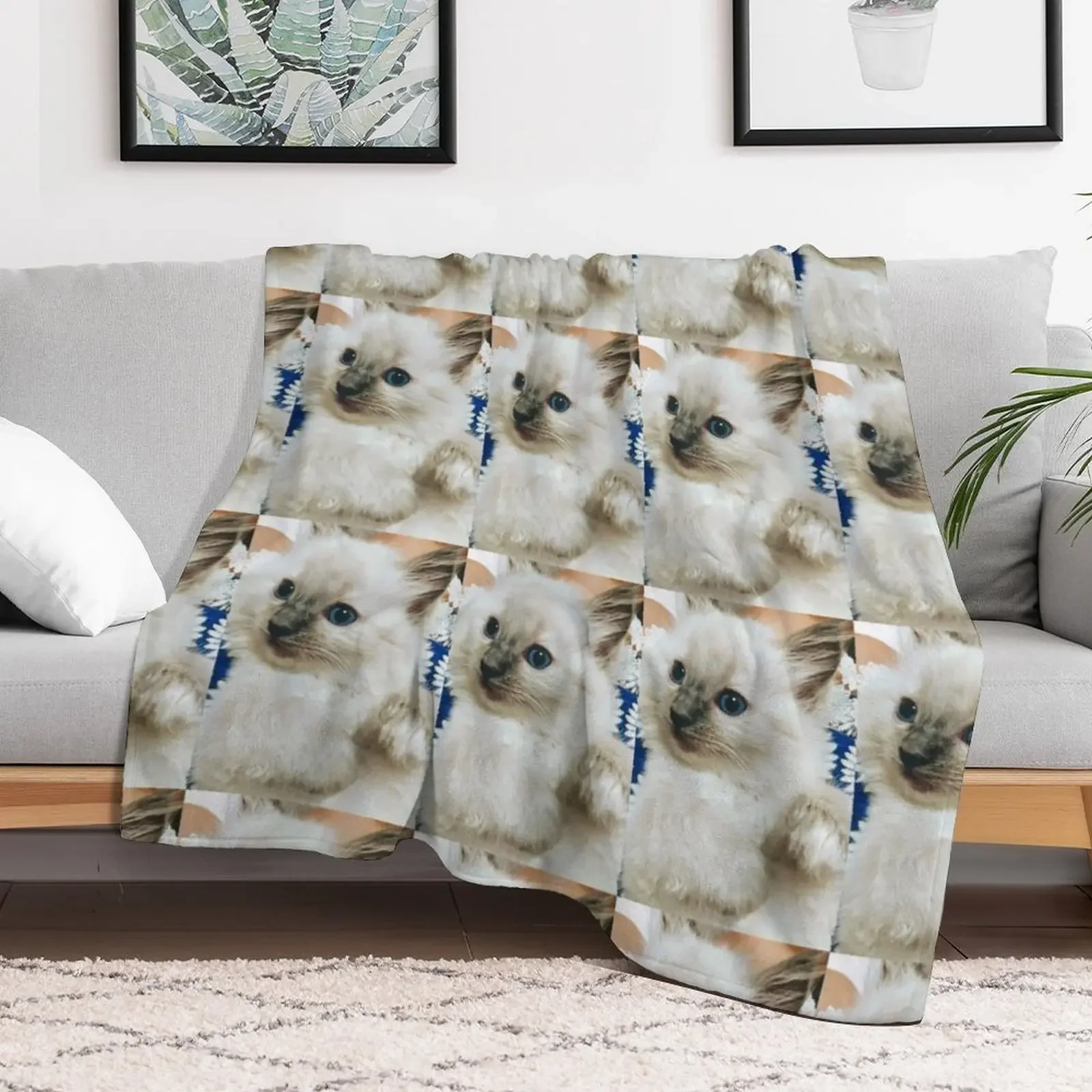 New Ragdoll kitten Throw Blanket Portable Lightweight Blanket for Travel Camping