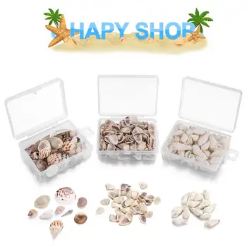 6 best sales Vỏ sò - №3