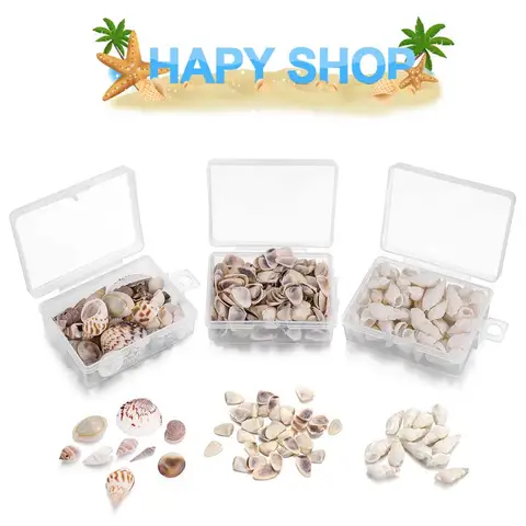 6 best sales shells - №3