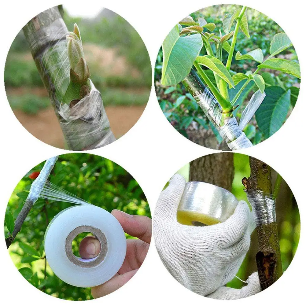 1 Roll 200 Meters Of Stretchable Grafting Tape Garden Tree Plants Seedlings Vine Tomato Grafting Accessories Stretchable Tape