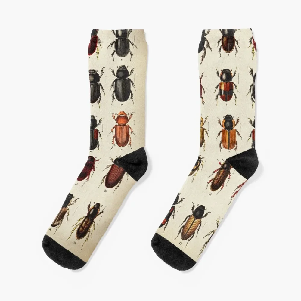 Calcetines antideslizantes para hombre y mujer, medias con gráfico de escarabajo, entomología, senderismo, novedad