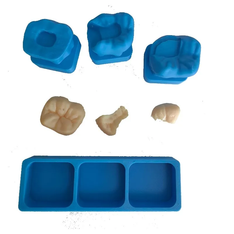 Dental High cement Inlay Demonstration Model Oral College Teaching Practical Operation Soft Silicone Dental Model Mold