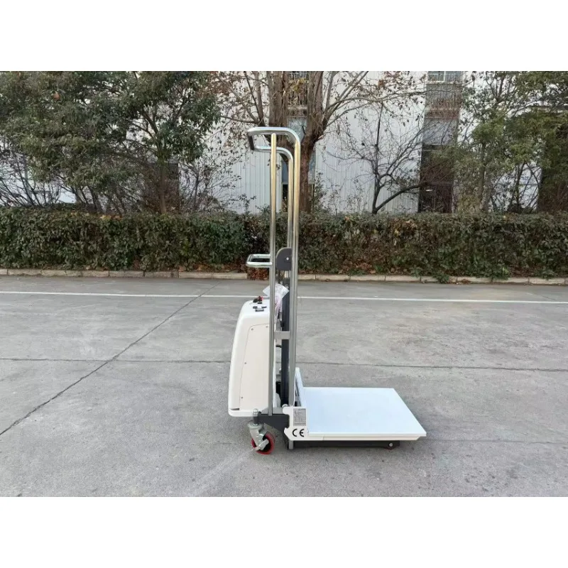 Factory  New Hot Sell Lift Table  400kg