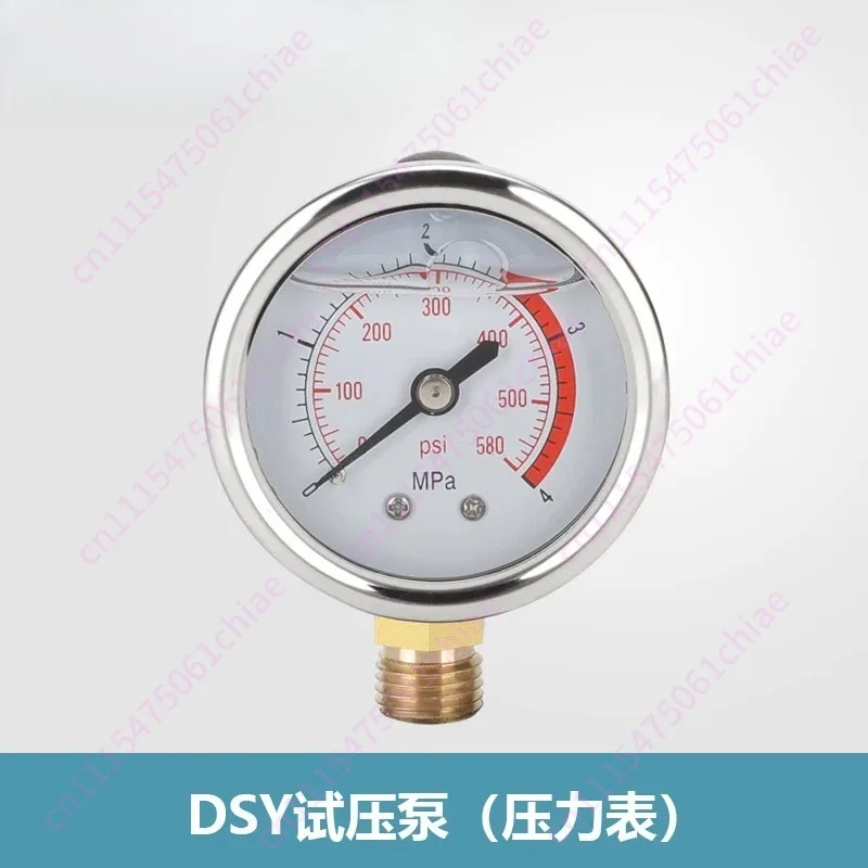 DSY Portable Electric Pressure Test Pump Pressure Gauge