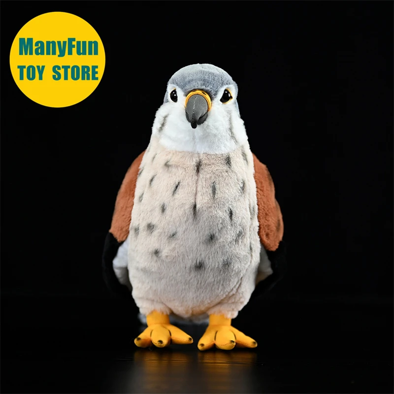 ตุ๊กตาเหยี่ยวเคสเทรลเหมือนจริง ตุ๊กตาเหยี่ยวฟอลคอนคุณภาพสูง ตุ๊กตาเหยี่ยวเพเรกรีนเหมือนจริง ตุ๊กตาเหยี่ยวสปาร์โรว์ ตุ๊กตาสัตว์จำลอง