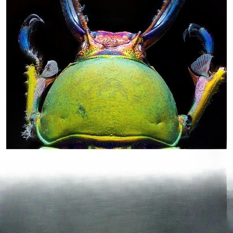 Full frame size macro lens