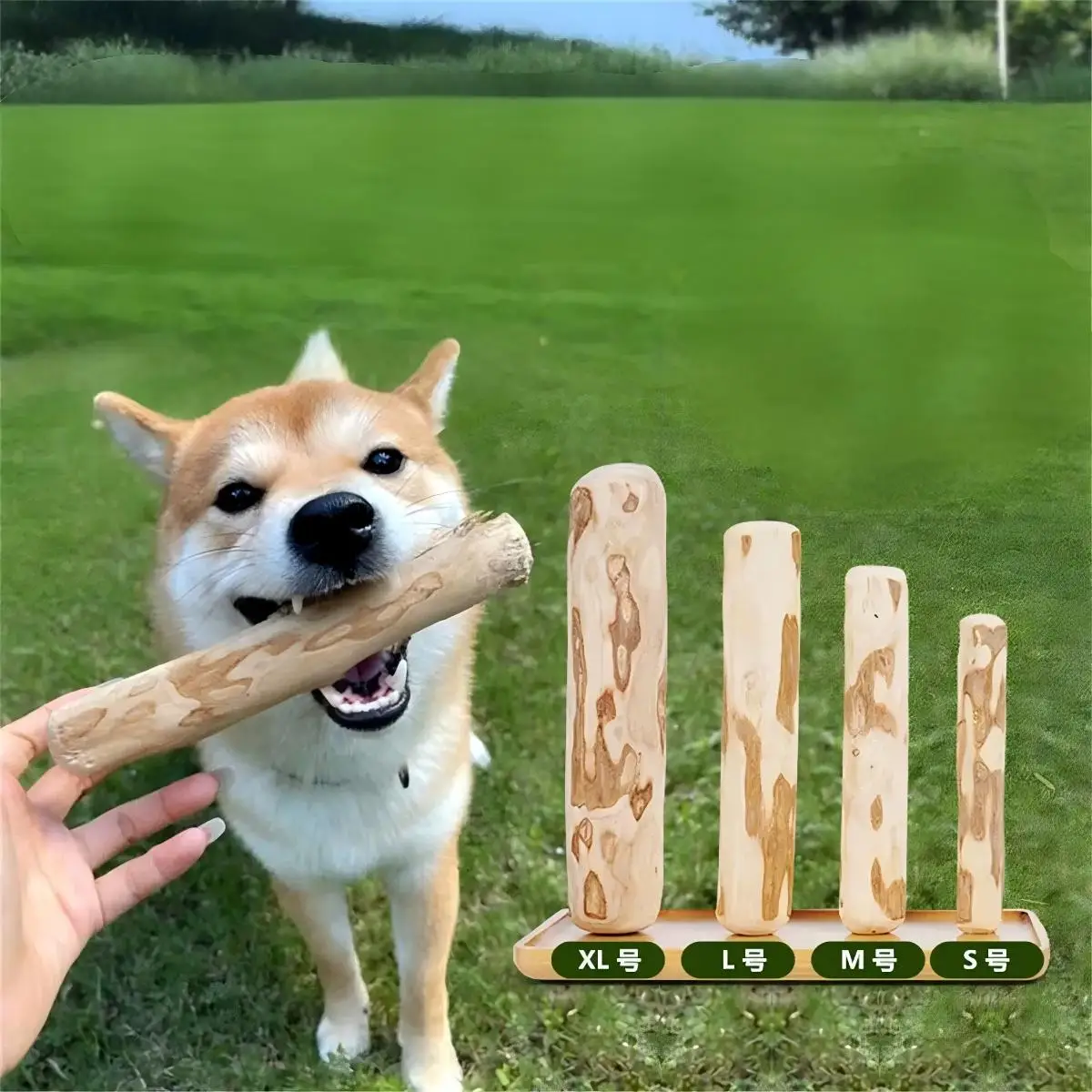 Juguetes Masticables de Madera de Café Natural para Perros, Palos Masticables de Larga Duración, Suministros para Perros, Palos Masticables para Aliviar el Estrés, Juguete Molar para Perros y Cachorros