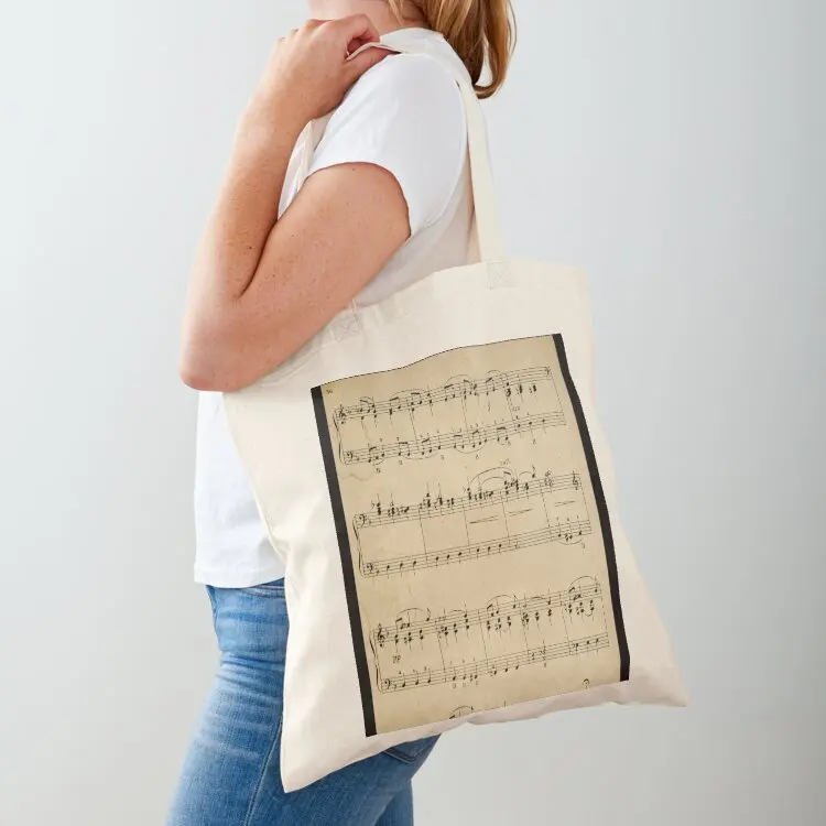 

fragment with music notes Tote Bag Lady bags Big bag hand bag Canvas stote