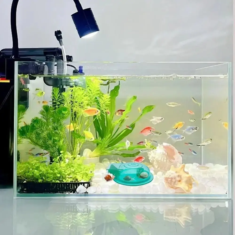 Freshwater Saltwater Aquarium Snail Trap Multi-purpose Effective Snail Catcher Durable Fish Tank Snail Remover