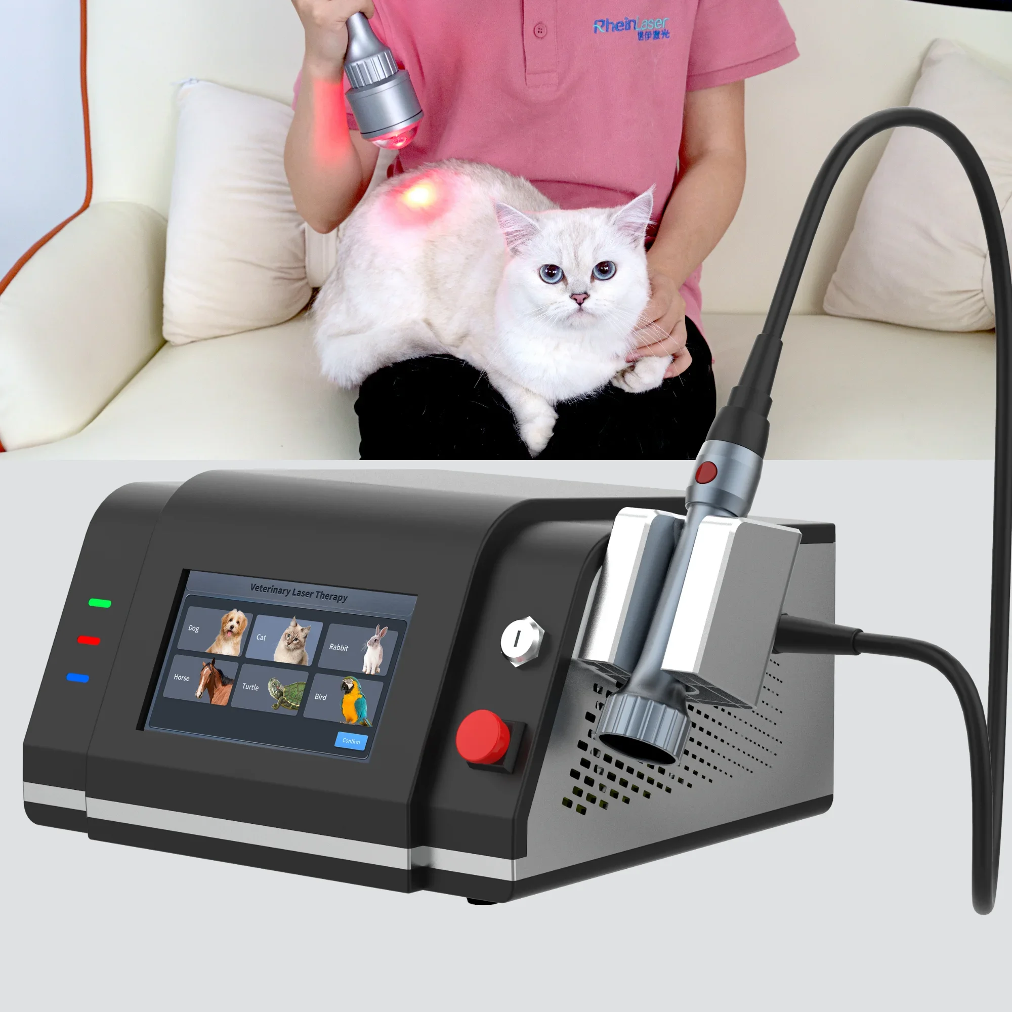 Factory Pet Wound Healing With Laser Therapy Animal Wellness Laser Physical Rehabilitation Animal Wound Care Laser Treatm