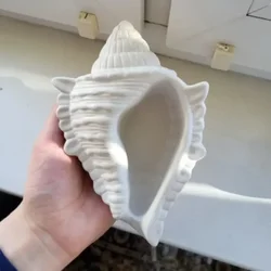 Conch vassoio stampo in Silicone fai da te fatto a mano candela tazza cemento gesso stampo conchiglia vaso di fiori stampo in resina decorazione della casa