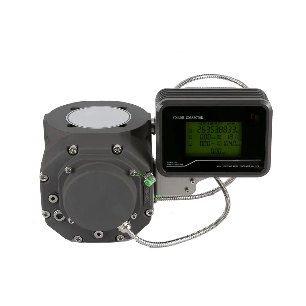 

Customizable High Accurate WR Series Rotary Meter Natural Roots Flowmeter with Digital Counter