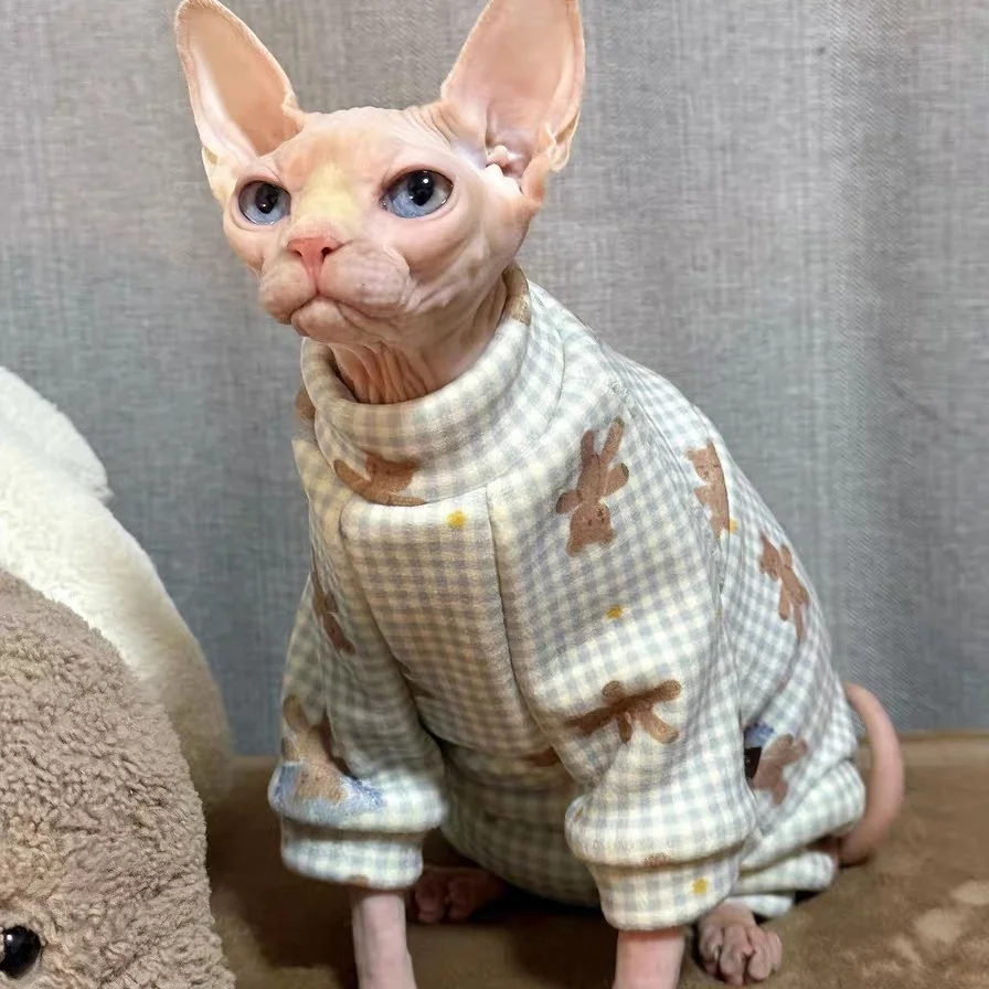 Warm Soft 4-legged Fleece Coat for Sphynx Cat in Winter Pink Pajamas For Devon Rex in Autumn Blue Cartoon Sweatshirt For Kittens