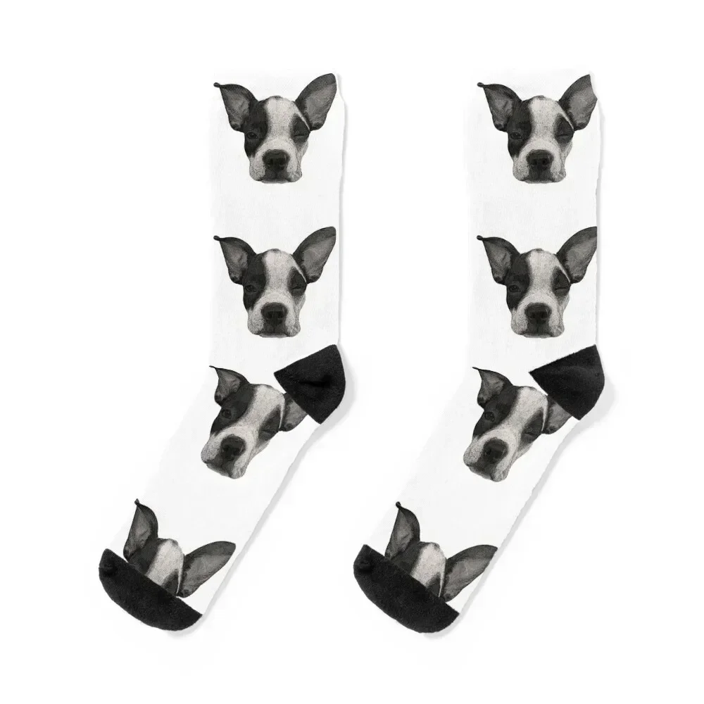 

Winking Boston Terrier Socks loose crazy Stockings compression Socks Woman Men's