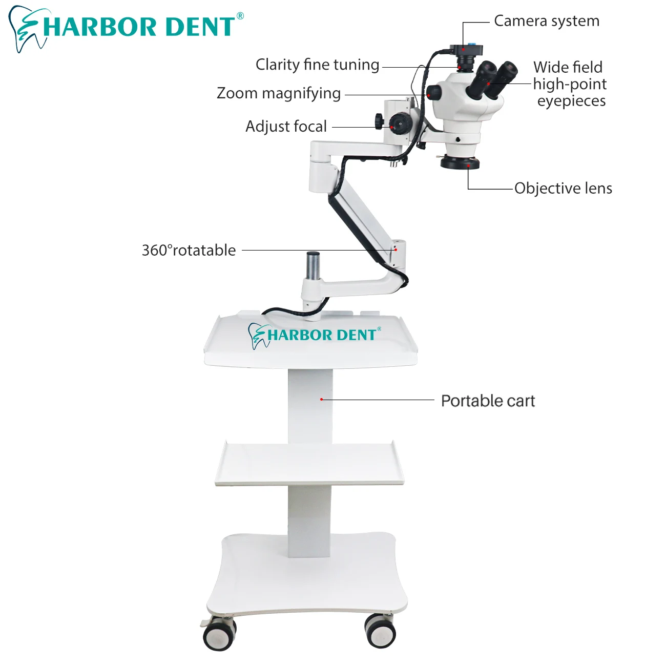 1080P Dental Operating Microscope Portable Surgical Microscope/endodontic Microscope With Camera Continuous Zoom Customized