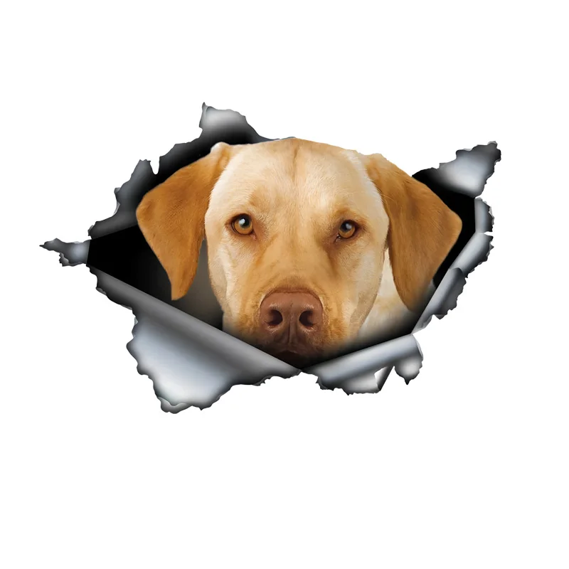 

DK467# Yellow Labrador Car Stickers Scratch Blocking Self-Adhesive Waterproof Decal, Used for Car, Laptop, Motorcycle, Van, RV