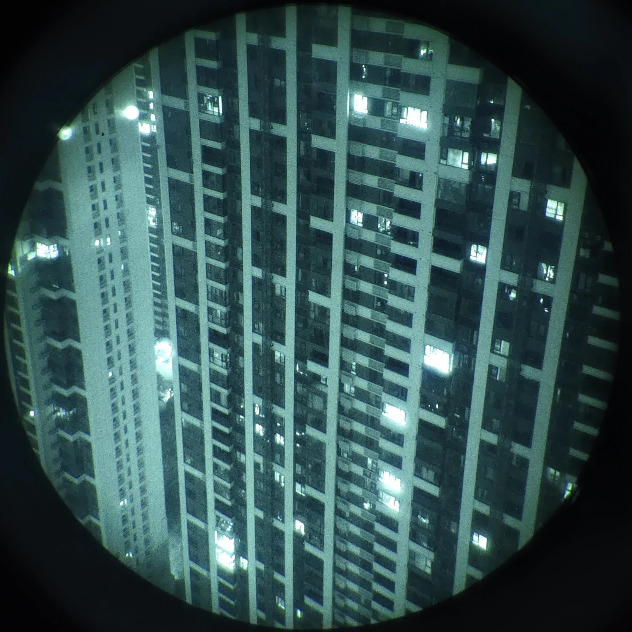ARGUS LW Gafas de visión nocturna ligeras BNVD1431 PVS14