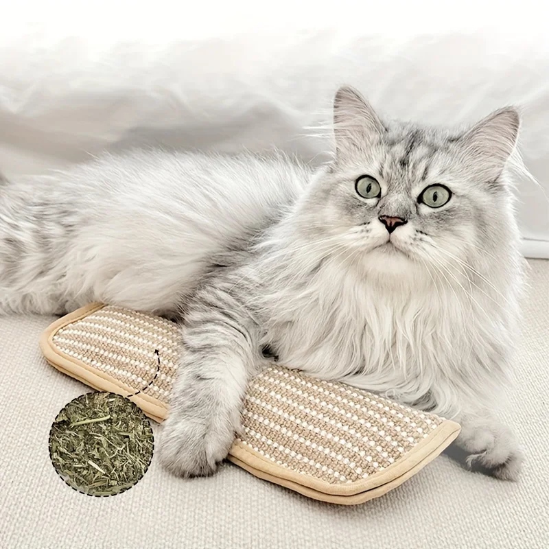 Thumbnail 3 - #6 Trending Cat Toys Right Now