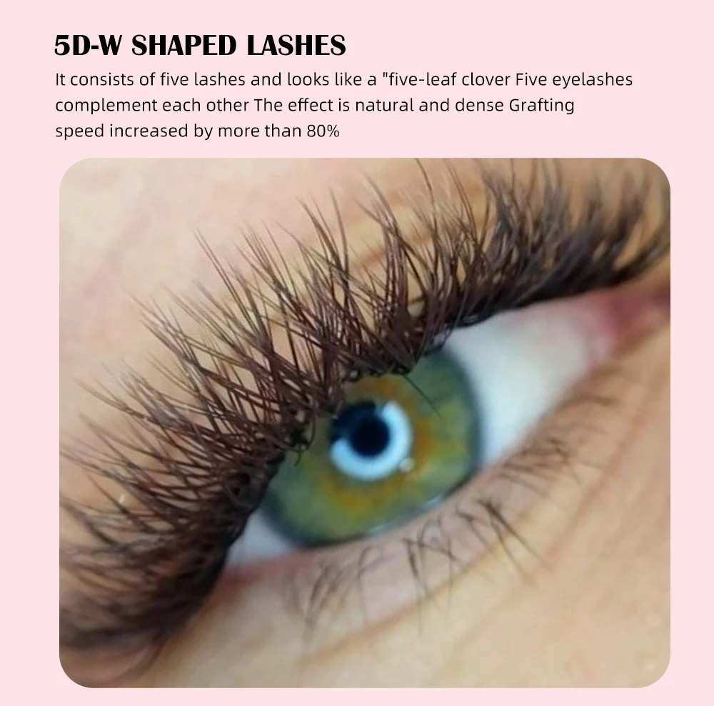 Yelix Classic Schwarz Braun 5D-W-förmige vorgefertigte Volumen-Wimpernfächer Wimpernverlängerungs-Trays Leicht Weich Flauschig Natürlicher Wispy-Look 5 La – Detail 7