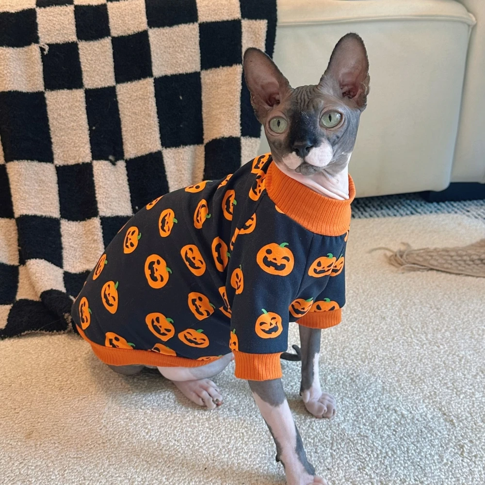 Halloween Costumes Coat for Sphynx Cat Orange Pumpkin Cotton Sweatshirt for Kittens Devon Rex Black T-shirt New Year Clothing