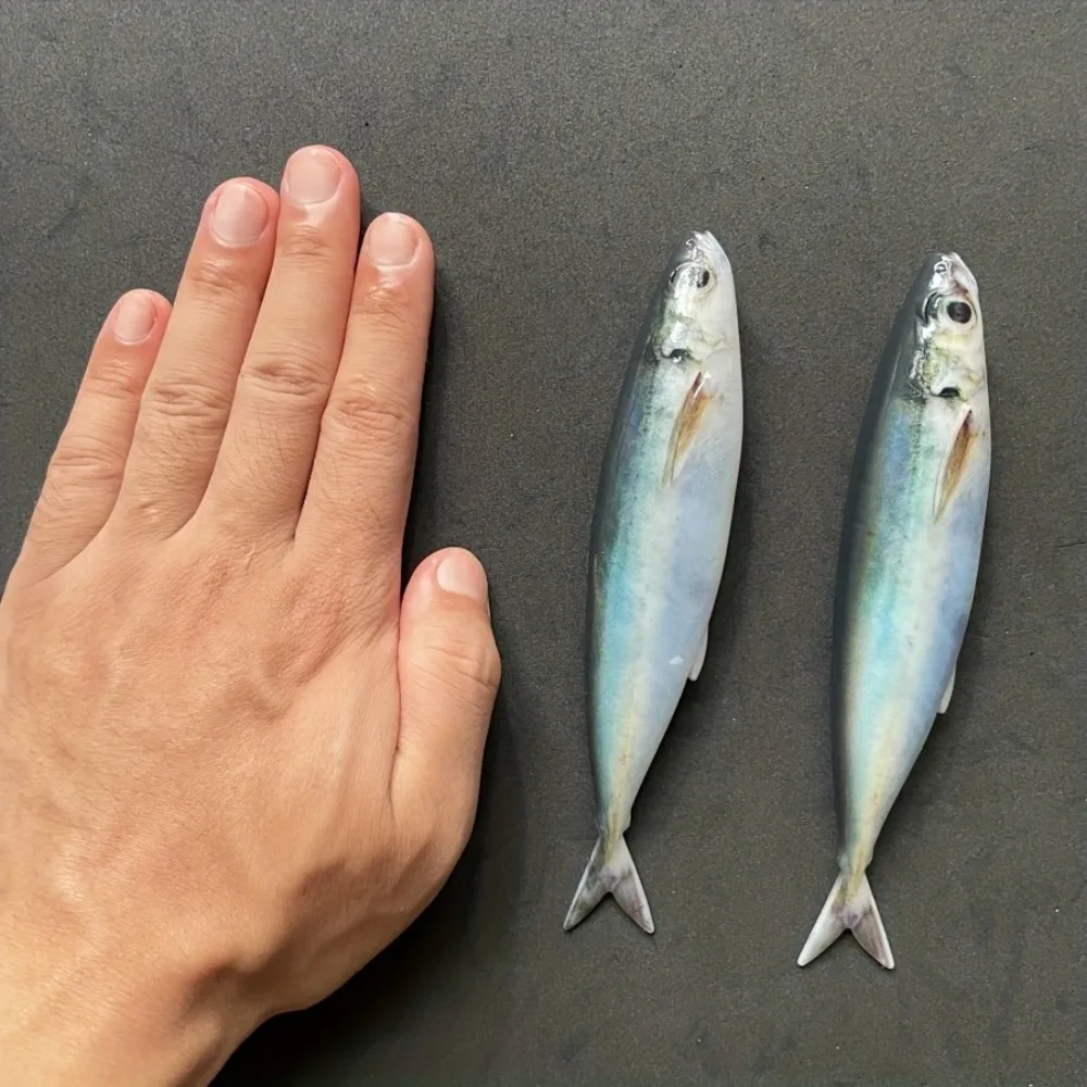 3 Stück 5,71 Zoll 33,5g Trolling-Hardbaits, Realistische Sardinen-Angelköder für Thunfisch & Makrele, Salzwasser-Tiefsee-Bootsangeln – Detail 5