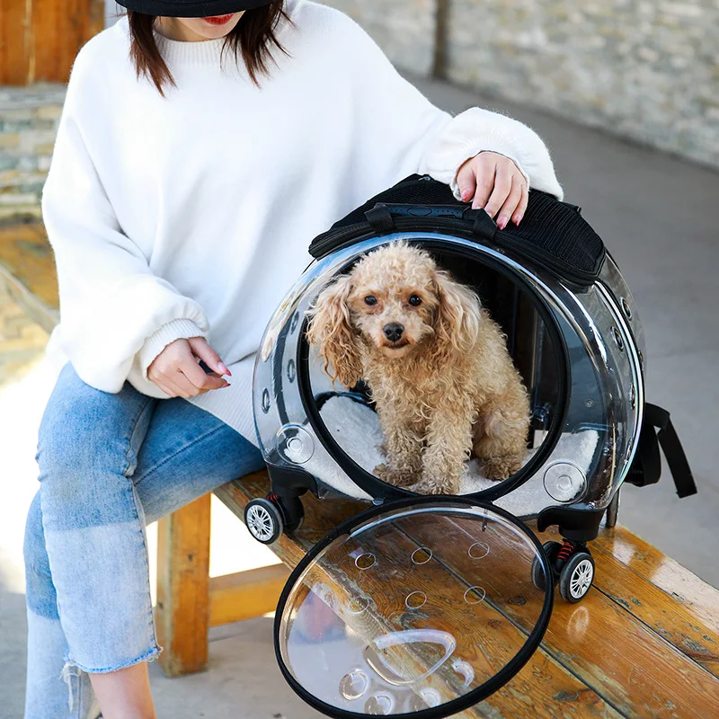 Mochila portátil multifuncional para perro, mochila transparente de doble propósito para mascotas