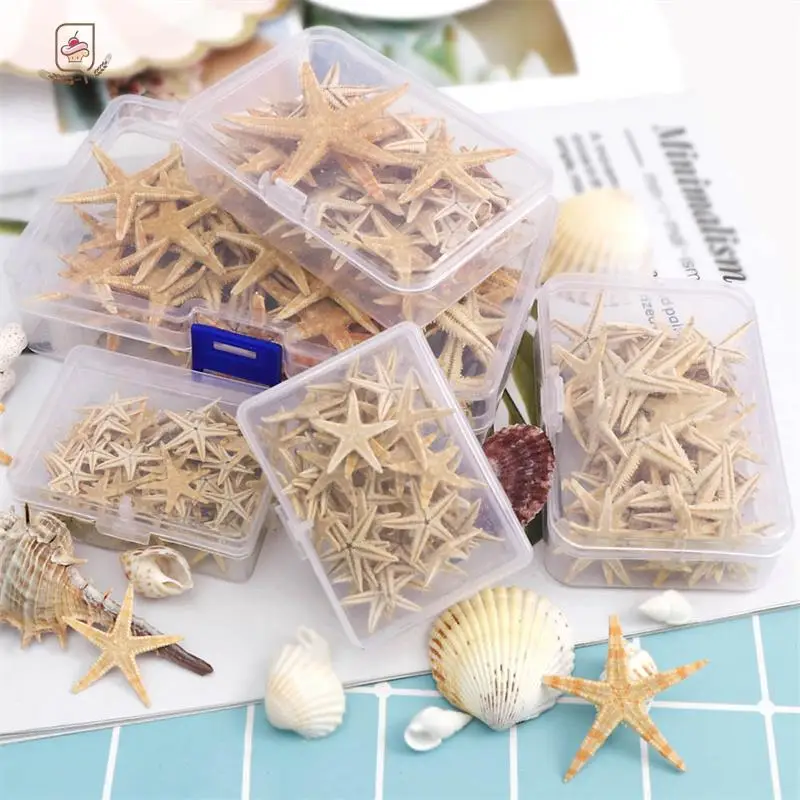 1Box/1pc Round Square Natural Starfish Seashell Beach Craft Natural Sea Stars DIY Beach Wedding Decoration Crafts Home Decor