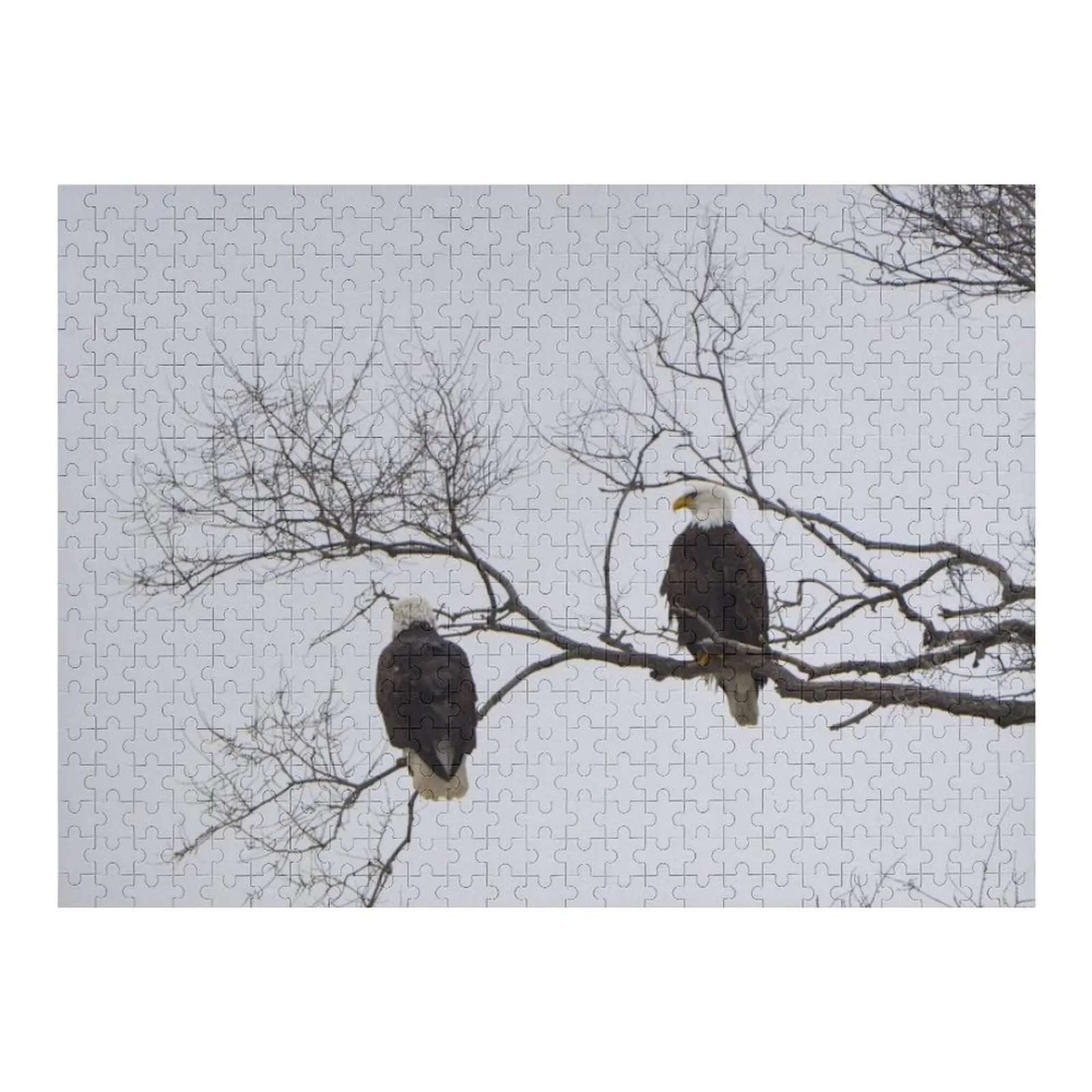 

Eagles Jigsaw Puzzle Personalized Child Gift Customizeds For Kids Custom Jigsaw Puzzle