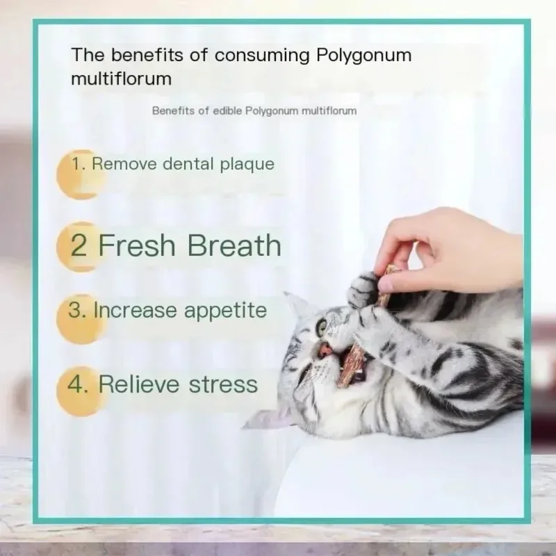 6 قطعة العصي القط الطبيعية النعناع خدش العض الإثارة العصي الفضة الكرمة القط الأسنان تنظيف وعلاج ألعاب القط #5