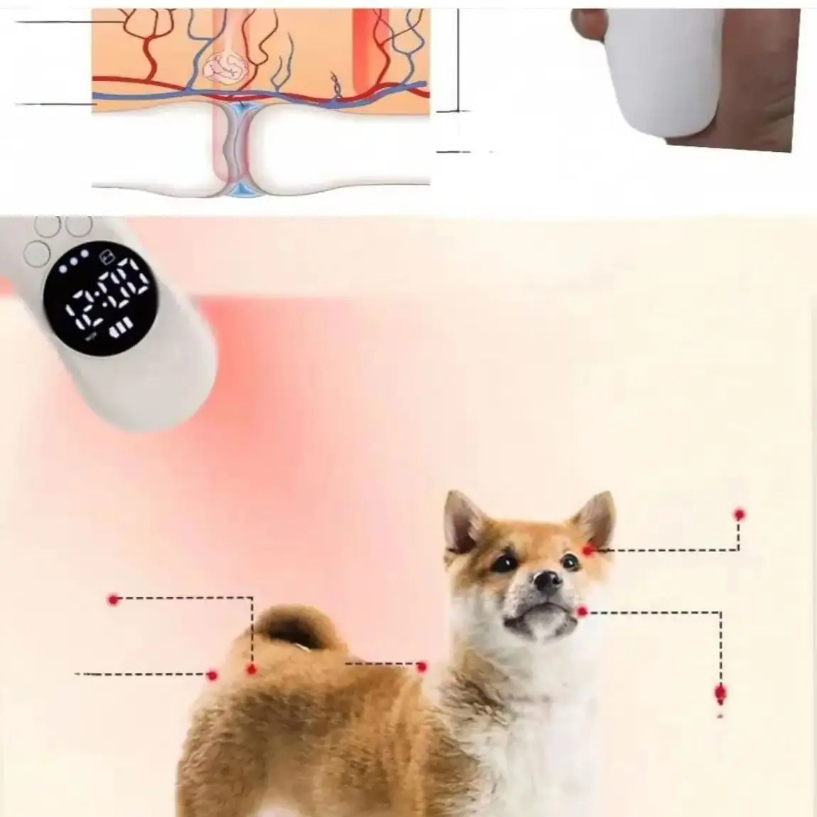 

Laser for Pain – Safe for Humans, Dogs, Cats & Horses