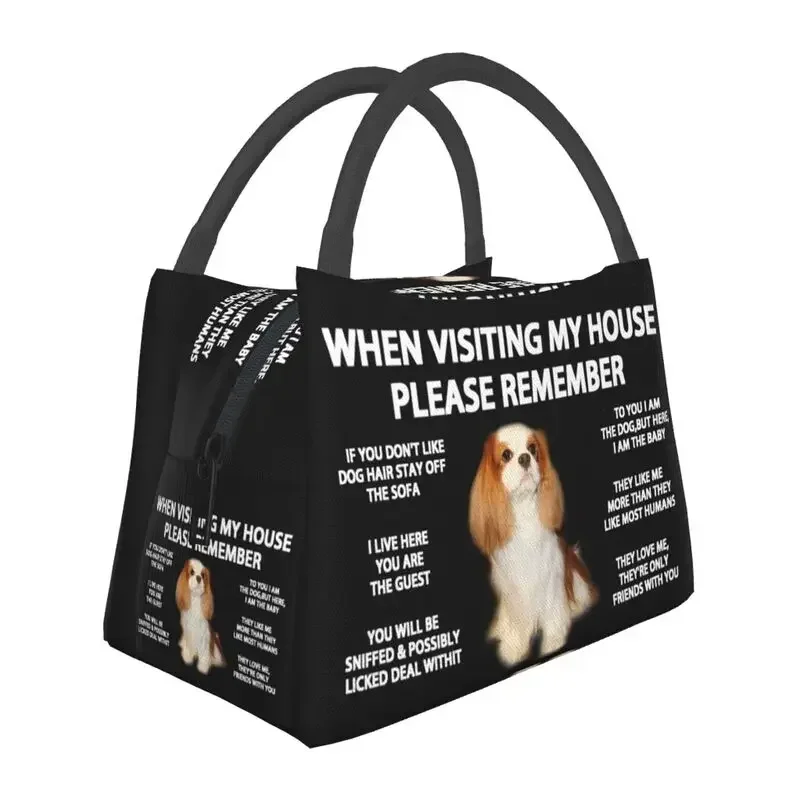 Cavalier King Charles Spaniel Insulated Lunch Bags for Outdoor Picnic Dog Resuable Cooler Thermal Bento Box Men