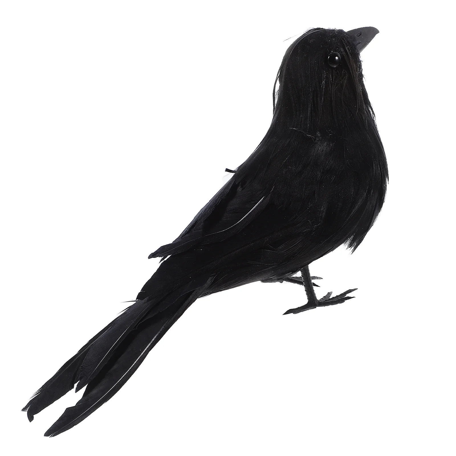 

2 Pcs Realistic Crow Prop Simulated Bird Decor Halloween Decorate Decoration Toy Child