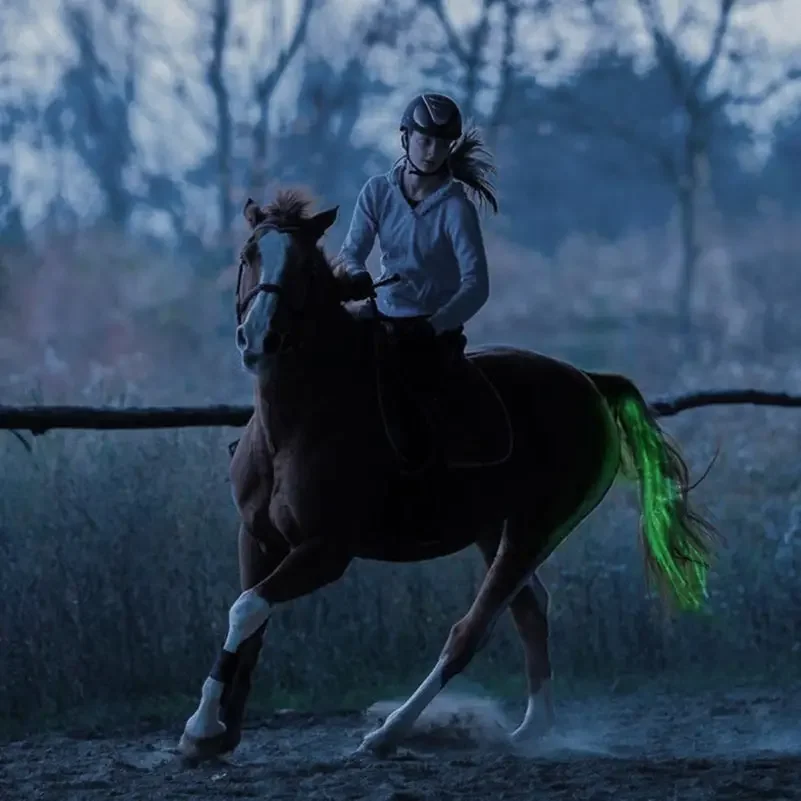 Luces LED recargables para montar a caballo, tubos luminosos de decoración, sillín ecuestre, Halters para el cuidado de los caballos, 100 CM de largo