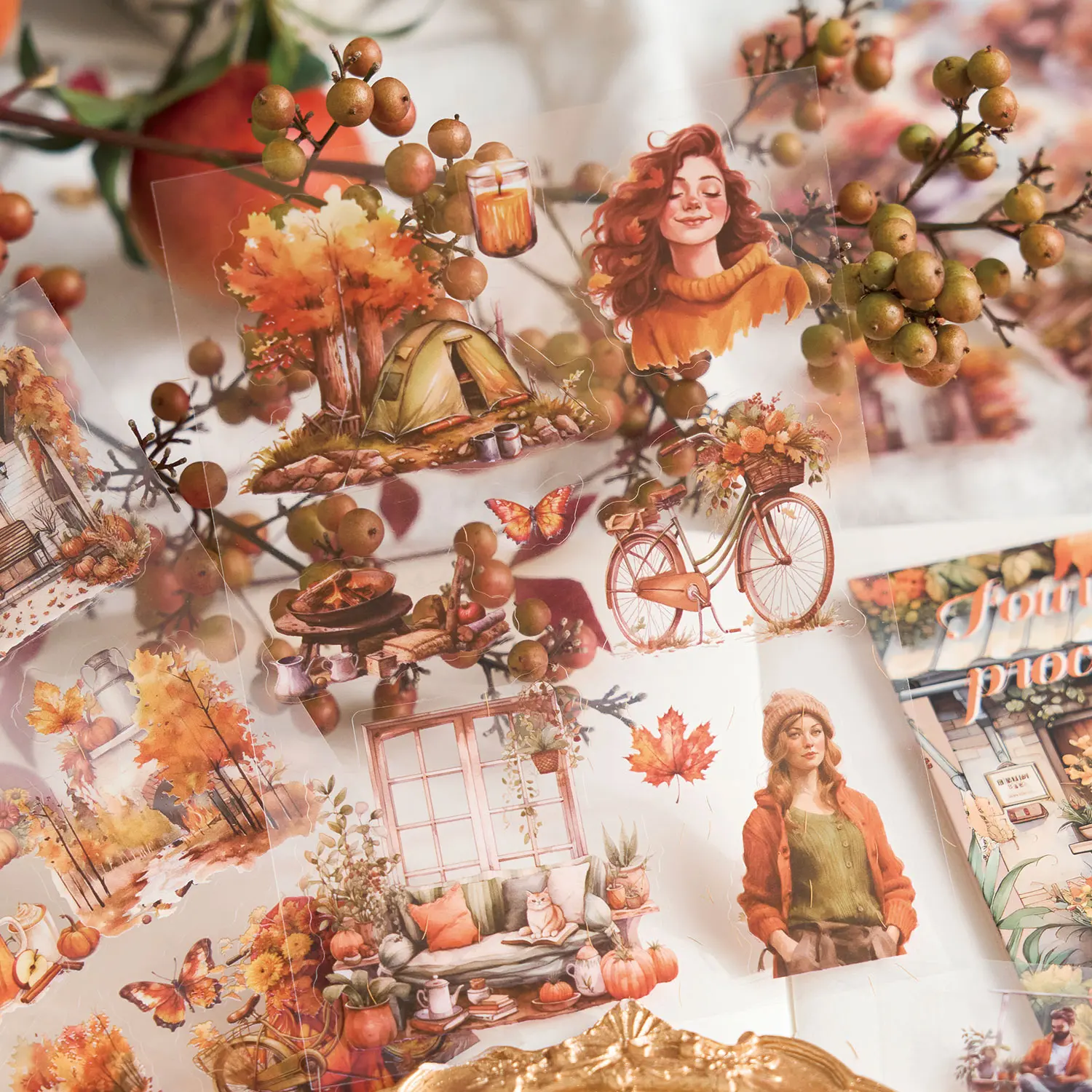 أربعة مواسم المطلوبة سلسلة الحيوانات الأليفة كتاب ملصقات الأوروبية والأمريكية الرجعية فتاة السفر التصوير كتيب المواد DIY بها بنفسك كتاب ملصقات الزخرفية