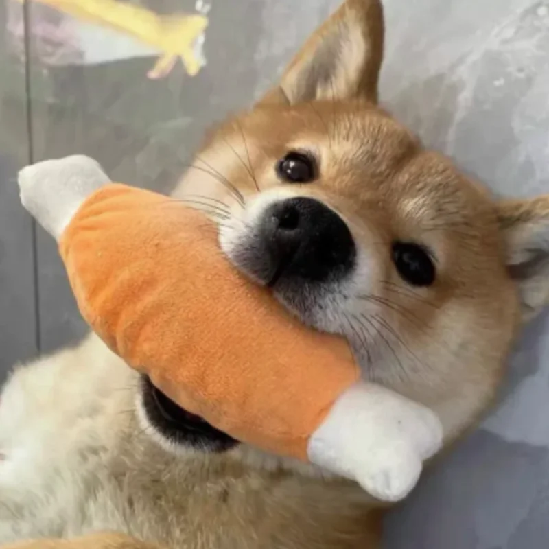 Interactive Pet Plush Toy for Dogs - Self Relieving Vocalizing Bone Bite Resistant Cat Teeth Grinding Toy