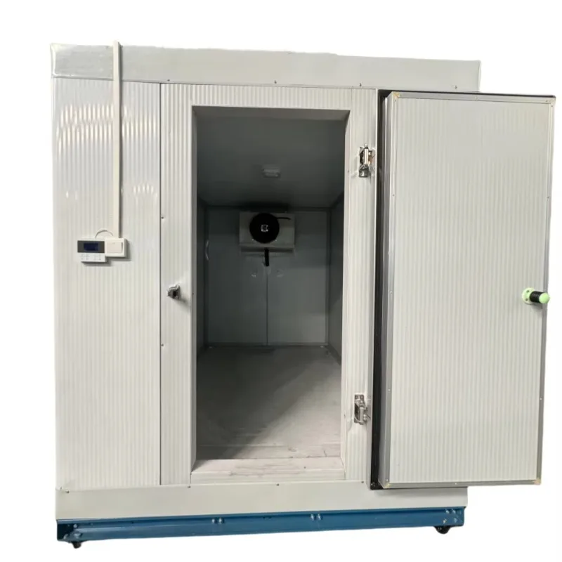 Customized Cold Room Refrigeration Camera for Sea Food Cold Chamber for Ice Cream Freezer Room