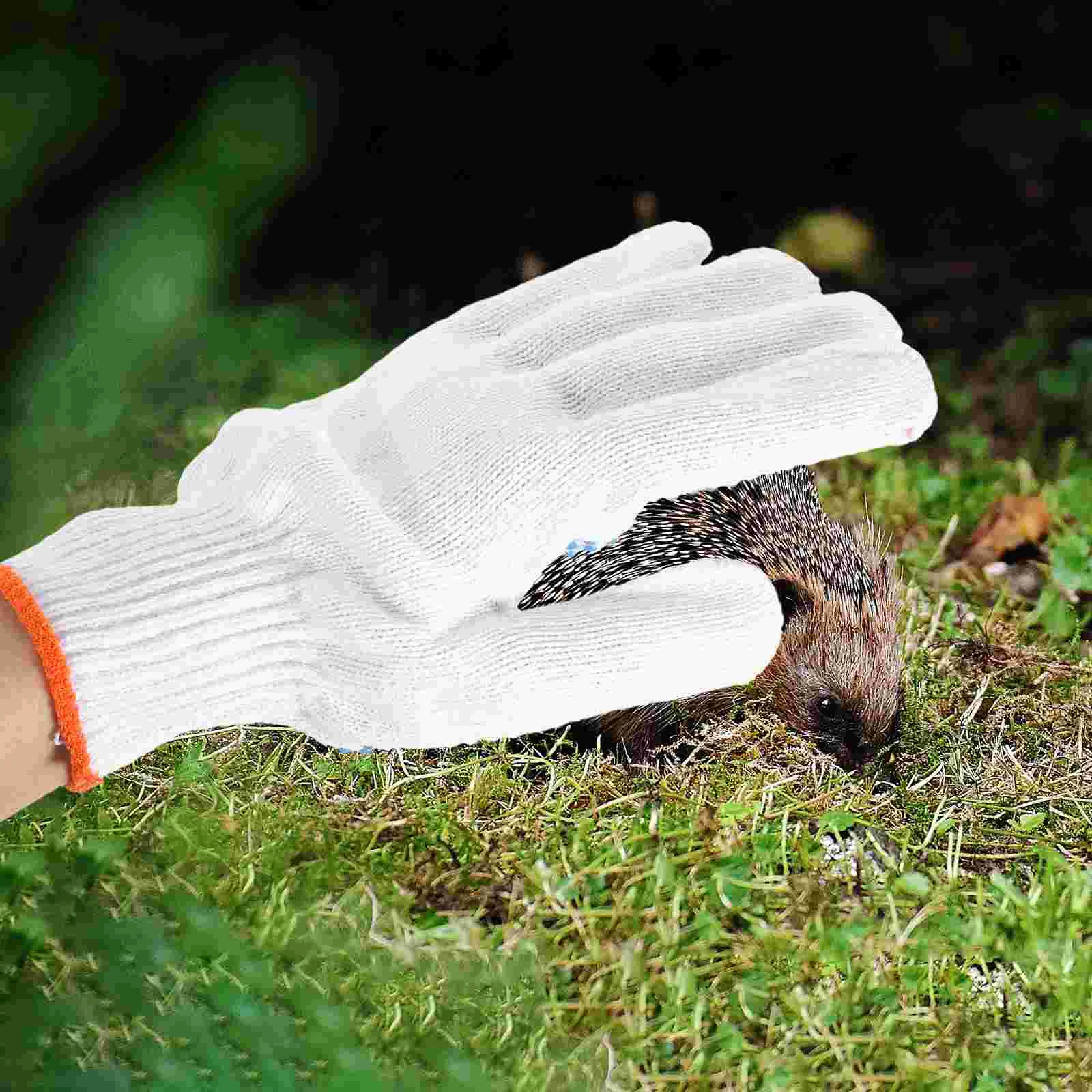 

Pet Anti Bite Glove Squirrel Animals Handling Protection Gloves Bird for Parrots Grooming