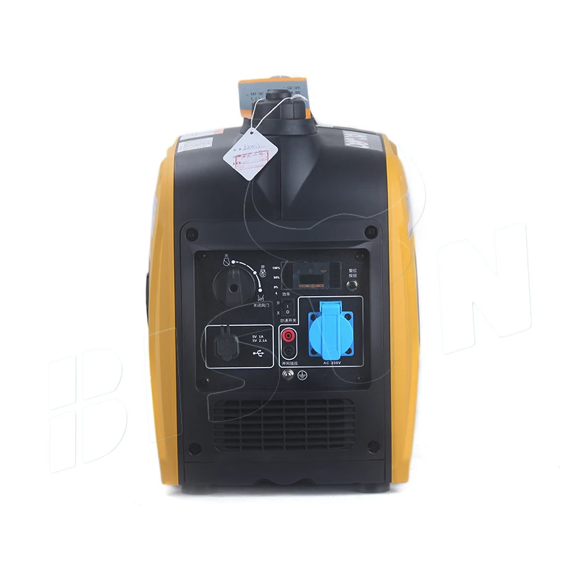 Bison Custom Design 4 Stroke 110V 220V Easy Srtart 2.5Kw 2.5Kva Silent Inverter Generator