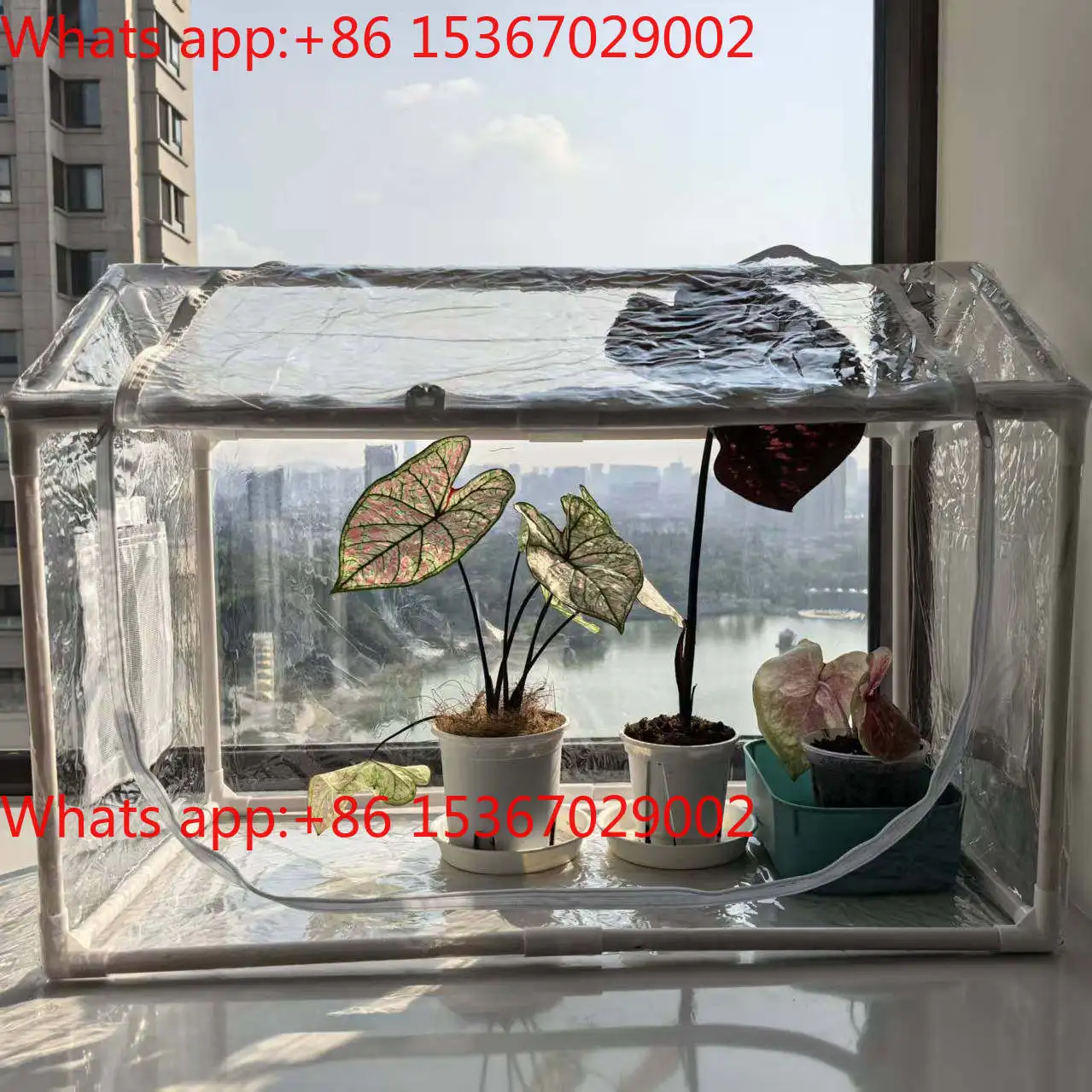 Pointed top widening, simple household insulation and moisturizing shed, home balcony succulent flower small warming