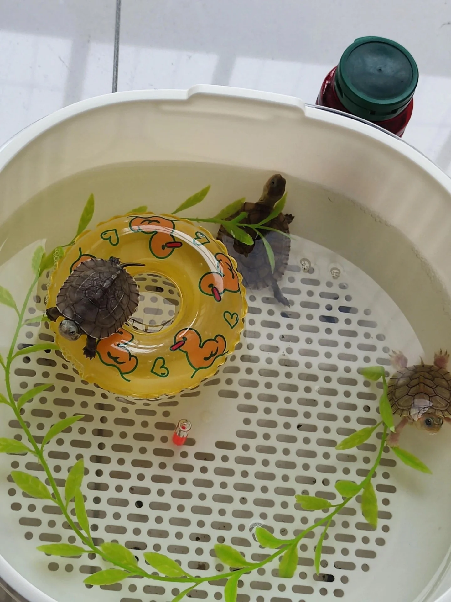 カメの水泳リング水のおもちゃ黄色いアヒル水生ペットタンク装飾風景ペット用品遊具プラスチック素材