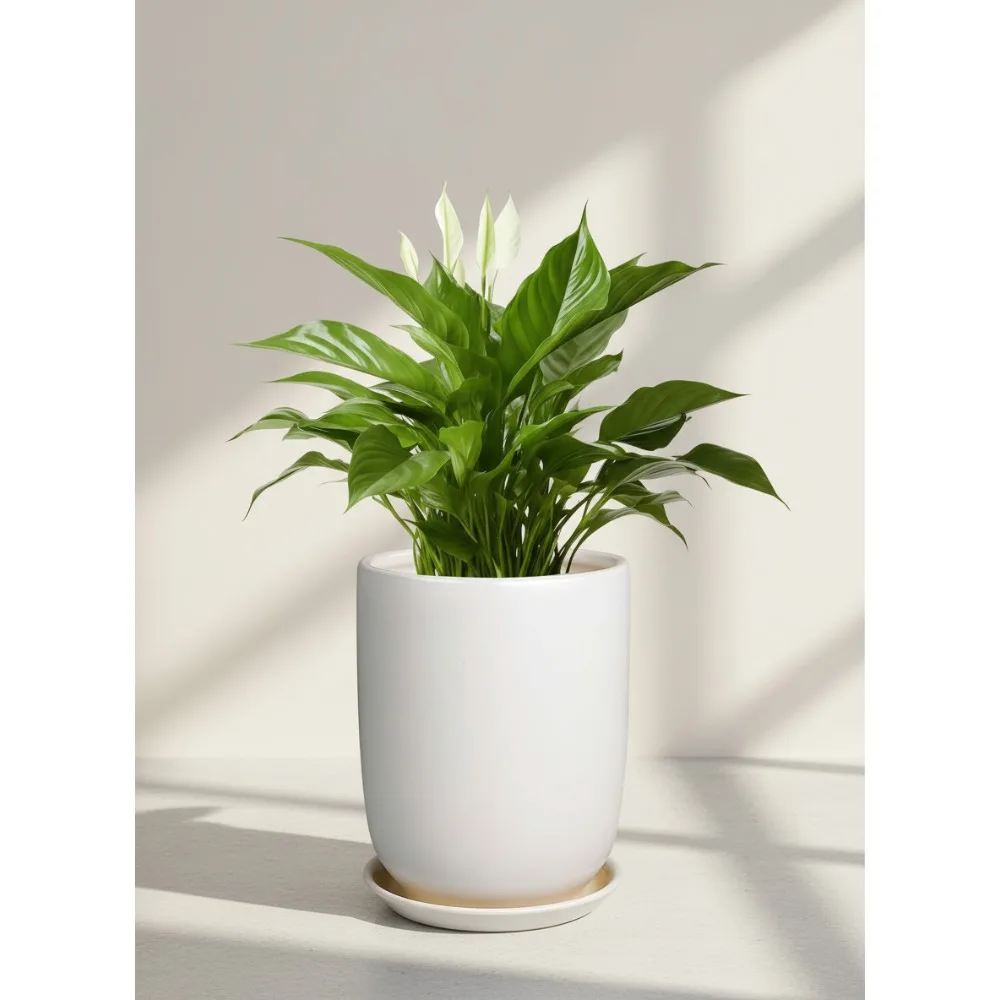 

8 Inch Ceramic Plant Pot with Drainage Hole and Saucer, Modern Flower Planter for Indoor Outdoor Plants, White