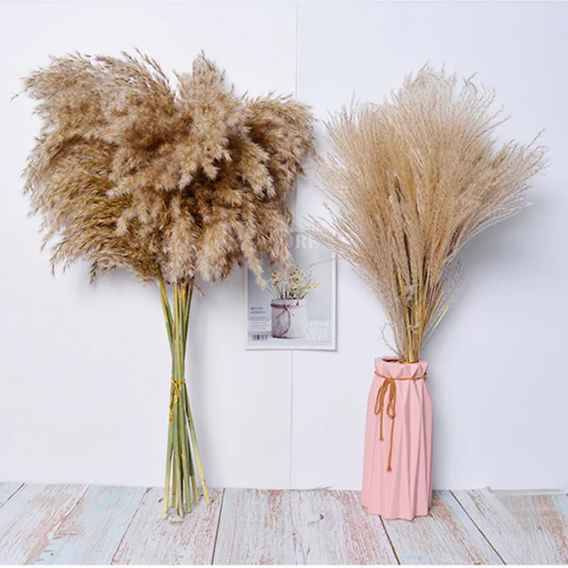 

20pcs Dried Flowers Pampas Grass Natural Dried Flowers Bouquet Arrangement Dry Reed Brown Tall For Wedding Decoration Home