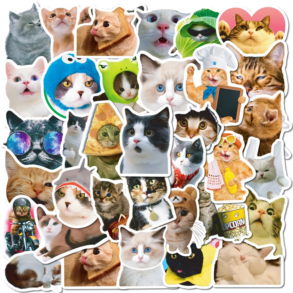 10/30/50pcs Funny Cat Meme Stickers for DIY Decor Stationery Suitcase Water Bottle Phone Laptop Scrapbooking Cute Decals Toys