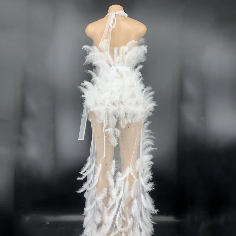 Birthday Party Long Dress Bandage Dress See-Through Rhinestone Feather Dress Singer Dancer DJ DS Rave Drag Queen Costume