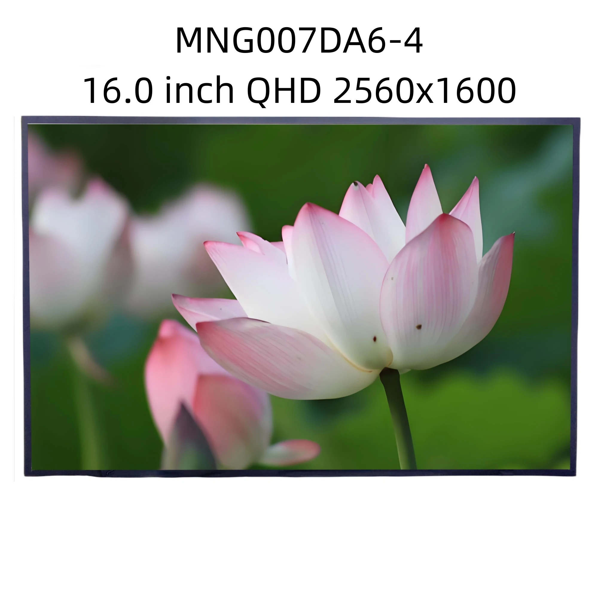 

MNG007DA6-4 16.0 inch QHD 2560x1600 Laptop Display IPS Panel LCD Screen