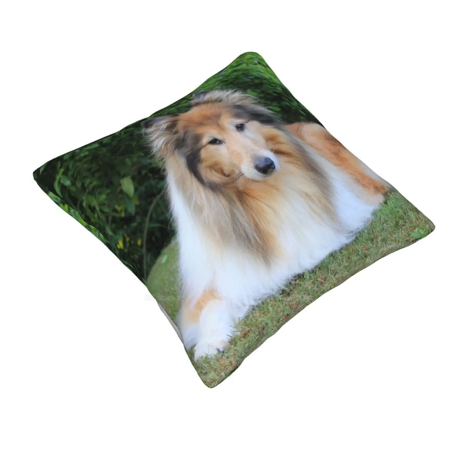 Sable Rough Collie Fashion Sofa Throw Pillow Cover Pillowcase Dogs Rough Collies Sable Lassie Scotch Collie Canine Portrait