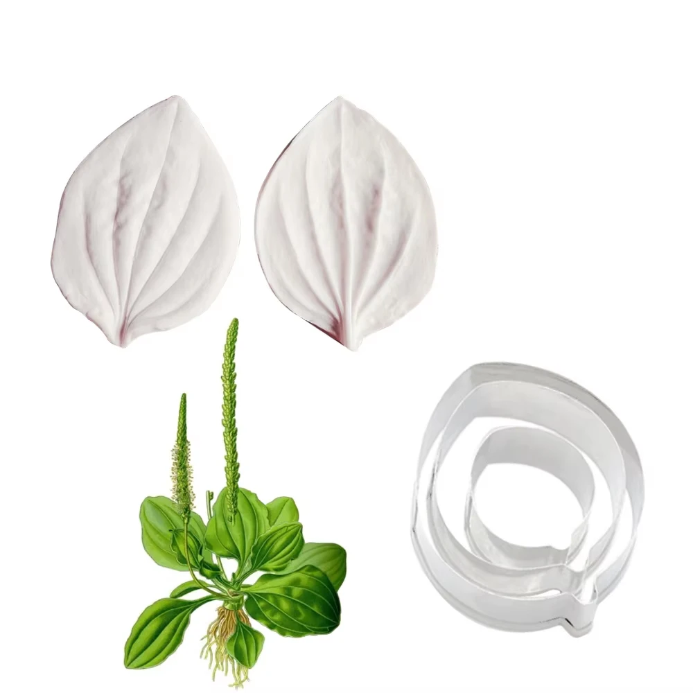 

Plantain Leaf Petals Veiners Silicone Molds Fondant Gumpaste Clay Sugar Poplymer Clay Crafts Paper DIY Cake Decorating Tools