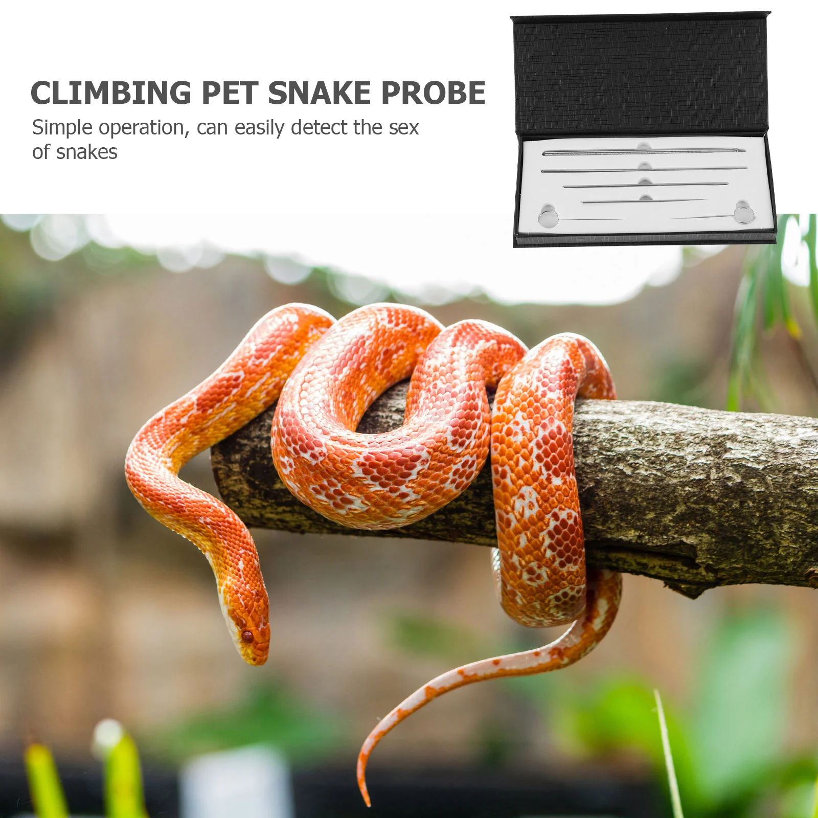 Snake Probe Gender Different Size Snakes Reptiles Stainless Steel Detection Supplies Animal